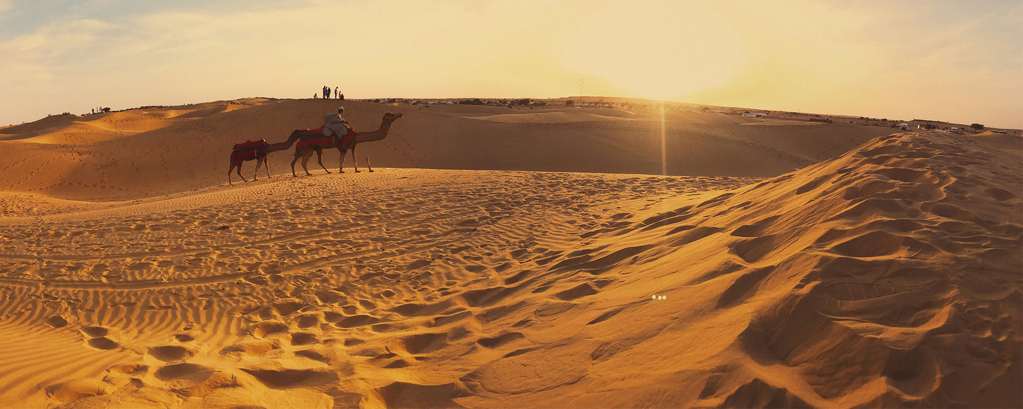 jaisalmer desert camel ride